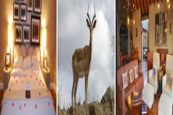 Royal African Discoveries