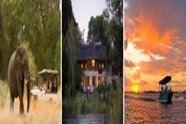 Royal African Discoveries