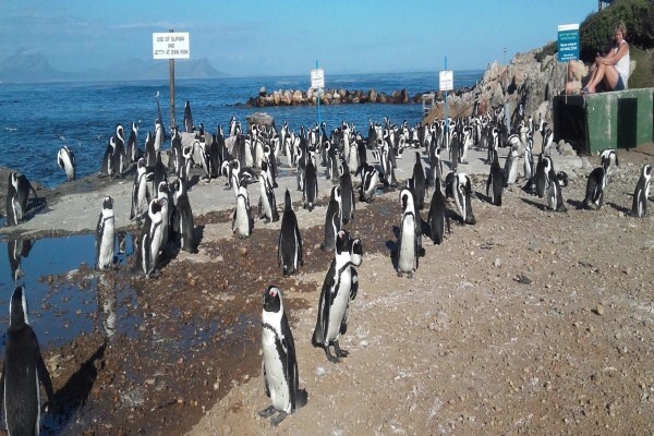 Seascape Tours