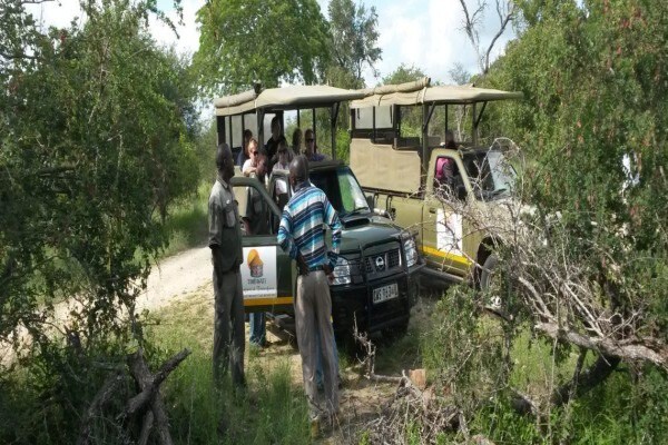 Seascape Tours