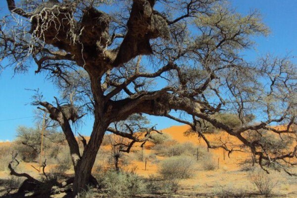 Southern Africa Places