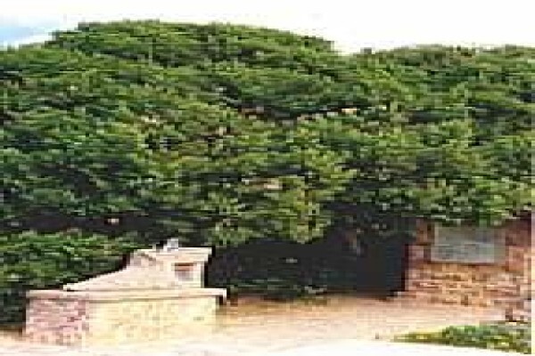 Zoutpan Struishuis