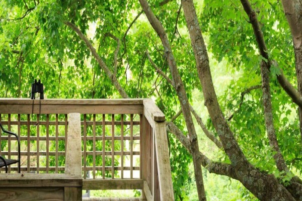 Vaucluse Spring