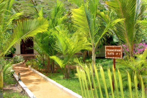 The Zanzibari