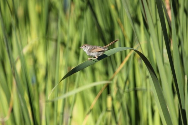 Drie Kuilen Private Nature Reserve
