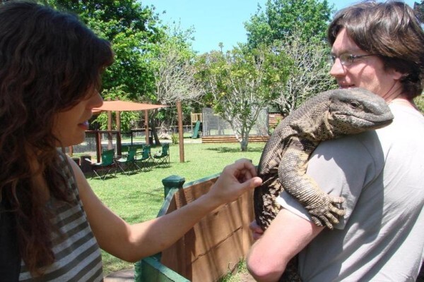 La Vista Lodge - Plettenberg Bay