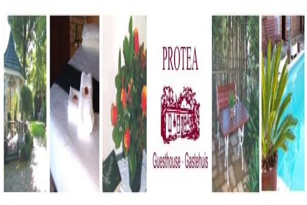 Protea Guesthouse