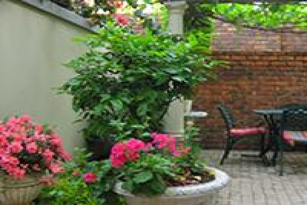 Rossini Guest Lodge