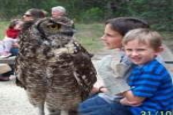 South Cape Tourism