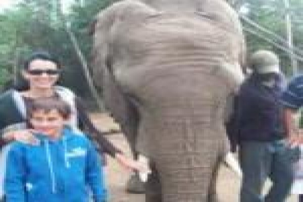 South Cape Tourism