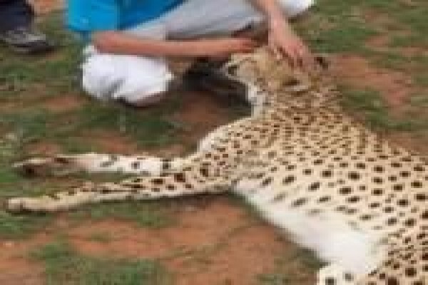 South Cape Tourism