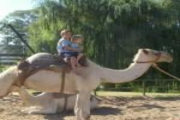 South Cape Tourism