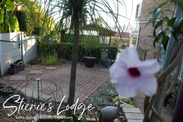 Stienie'S Lodge