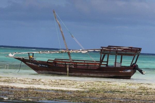 The Zanzibari