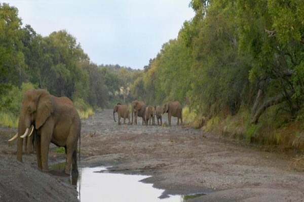 Nitani Private Game Reserve
