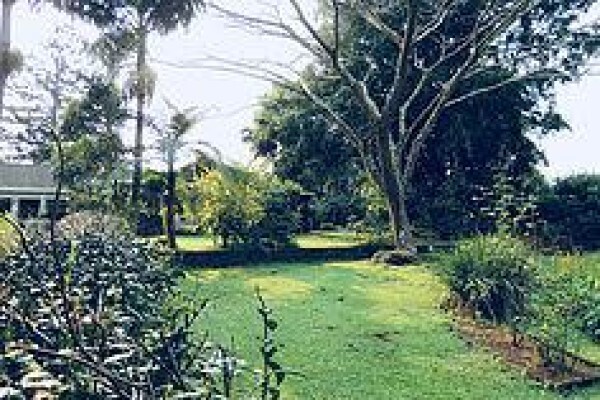 Brackens