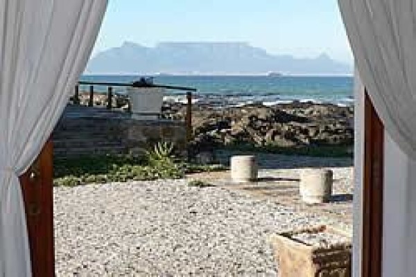 Cape Town Happenings
