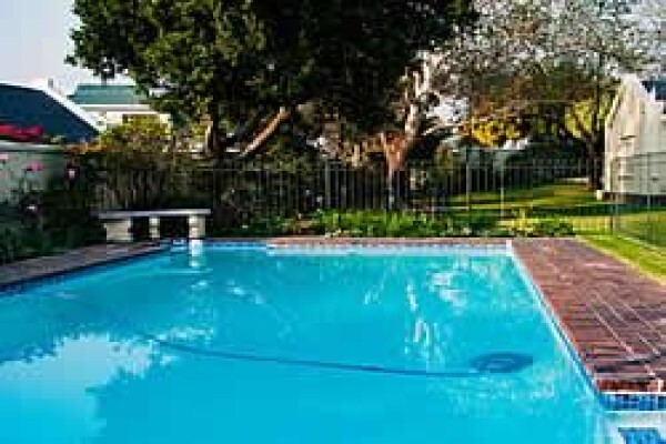 Joburg Happenings