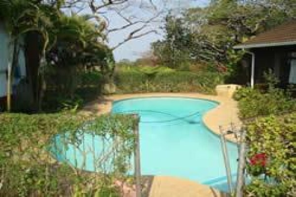 Kzn North Happenings
