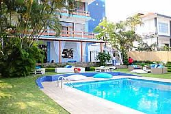 Mozambique Happenings