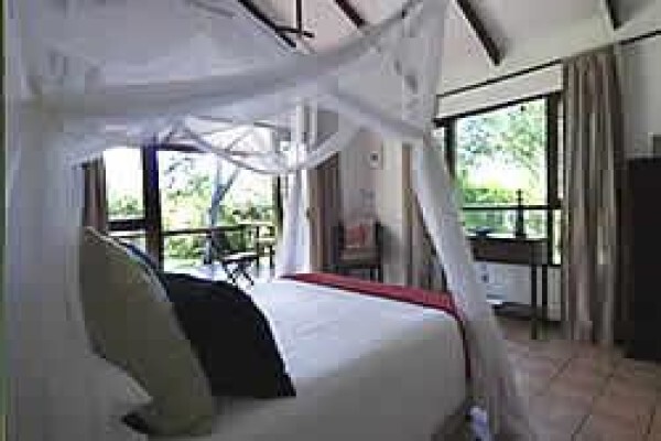 Mozambique Happenings