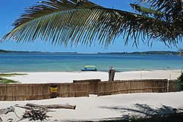 Mozambique Happenings