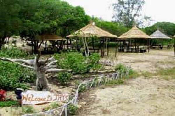 Mozambique Happenings