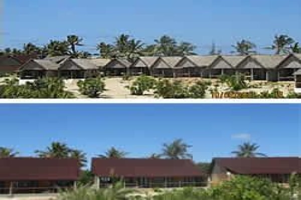 Mozambique Happenings