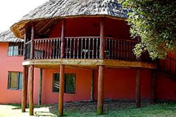 Mozambique Happenings