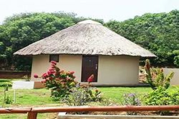 Mozambique Happenings