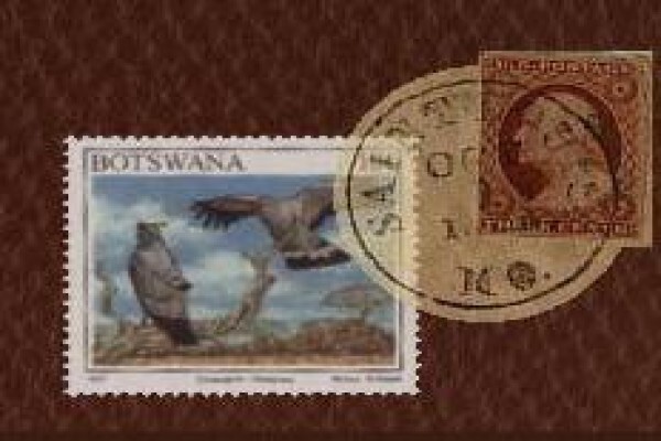 Nitani Private Game Reserve