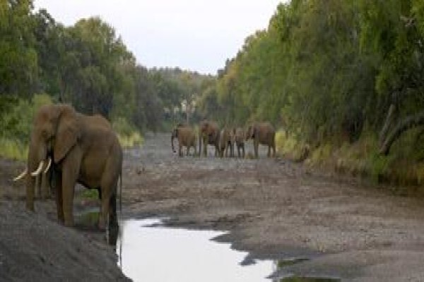 Nitani Private Game Reserve
