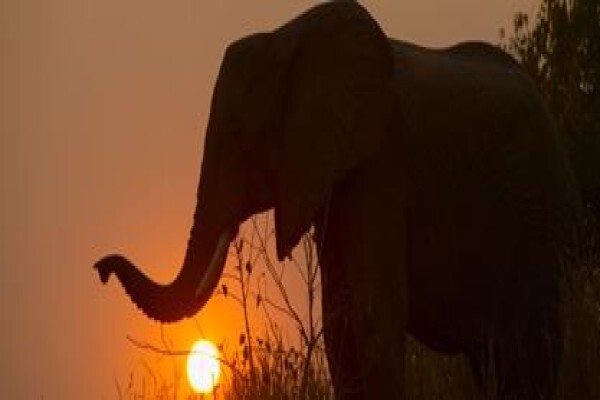 Nitani Private Game Reserve