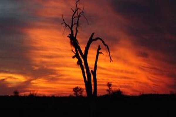 Nitani Private Game Reserve