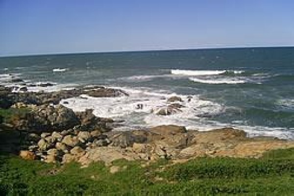 South Coast Happenings