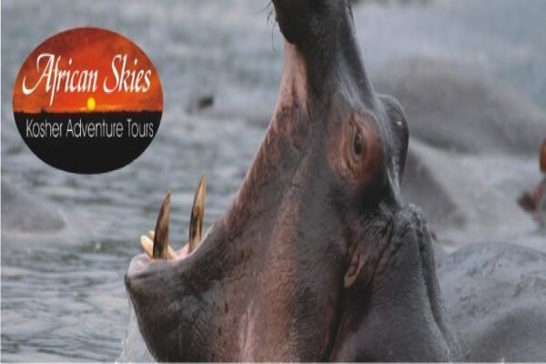 Kosher Safaris
