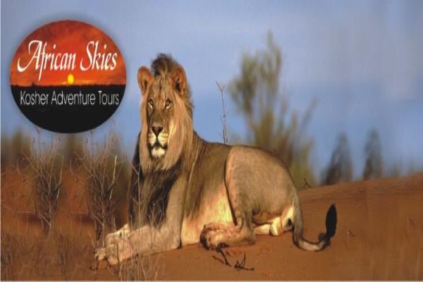 Kosher Safaris