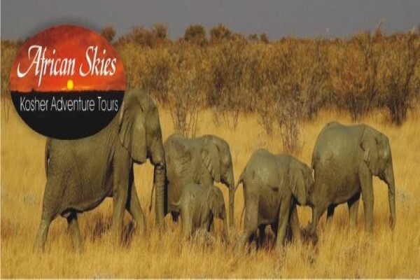 Kosher Safaris