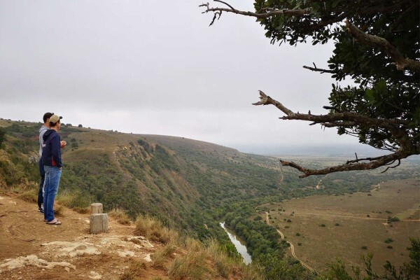 Amakhala