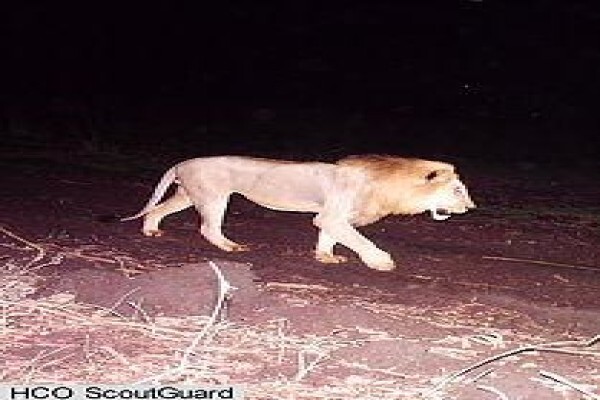 Munyamadzi