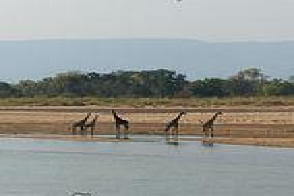 Munyamadzi