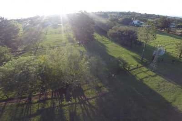 Pin Oaks Kennels