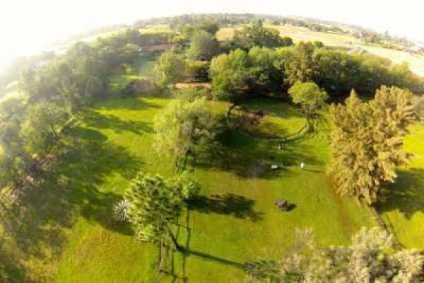 Pin Oaks Kennels
