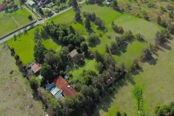 Pin Oaks Kennels