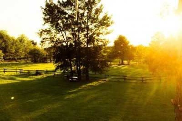 Pin Oaks Kennels