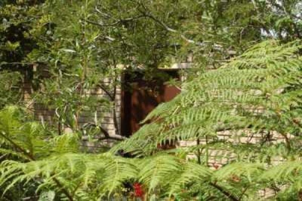 Pin Oaks Kennels