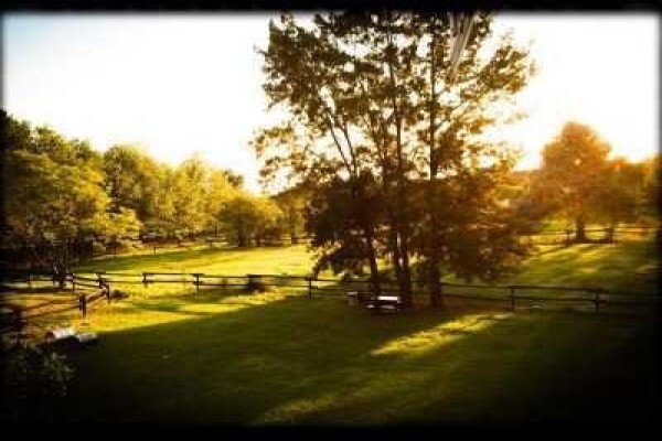 Pin Oaks Kennels