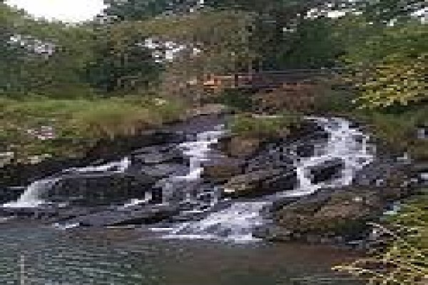 The Old Hatchery