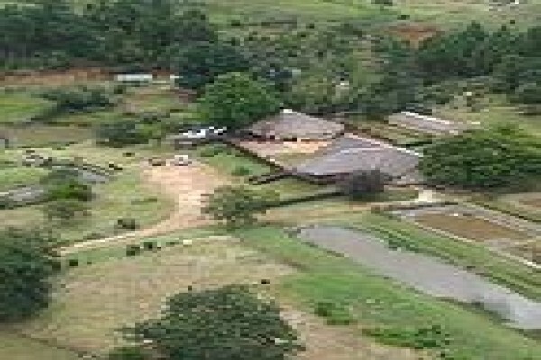 The Old Hatchery