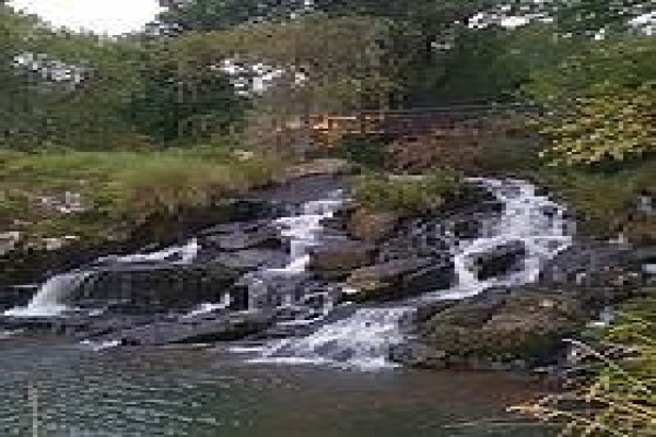 The Old Hatchery